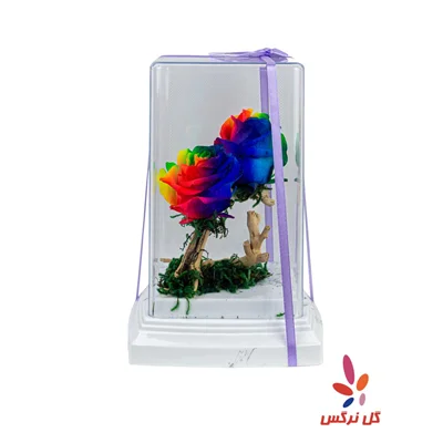 گل رز جاودان رنگارنگ (دو شاخه)
