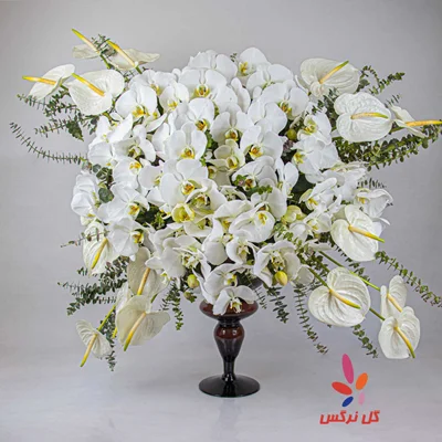 جام گل ارکیده سفید