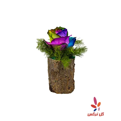 کنده رز رنگارنگ