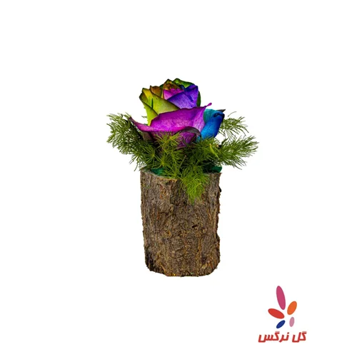 کنده رز رنگارنگ