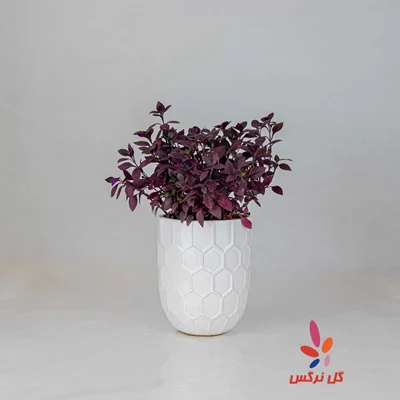 گلدان آلترناترا رویال (سایز کوچک)