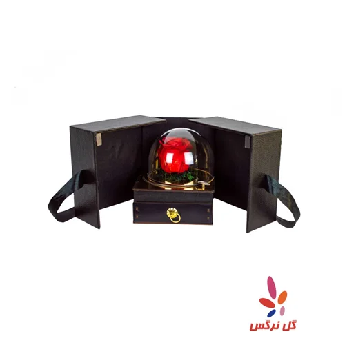 گل رز جاودان قرمز به همراه باکس موزیکال (ویژه)