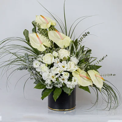 باکس گل مهرانه