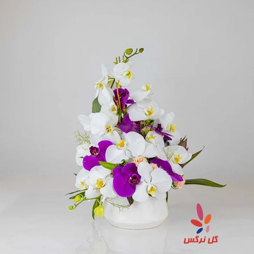 گلدان سرامیکی ارکیده (شماره 3)