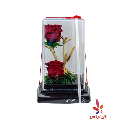 گل رز جاودان قرمز (دو شاخه)