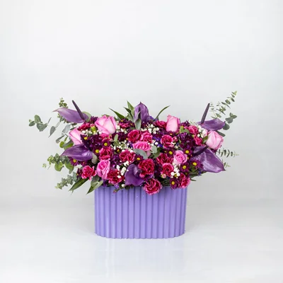 باکس گل سنا