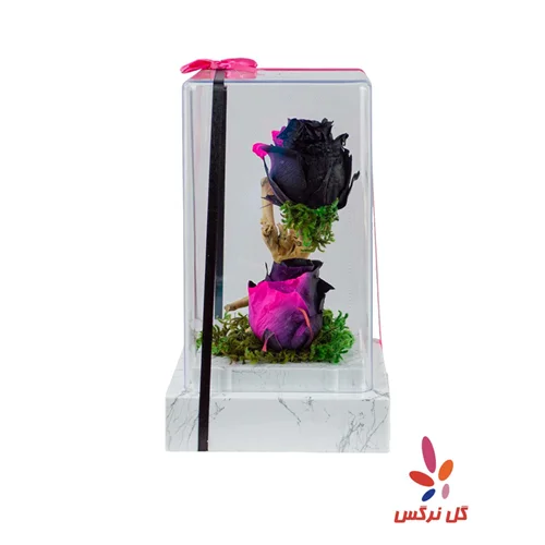 گل رز جاودان هفت‌رنگ (دو شاخه)