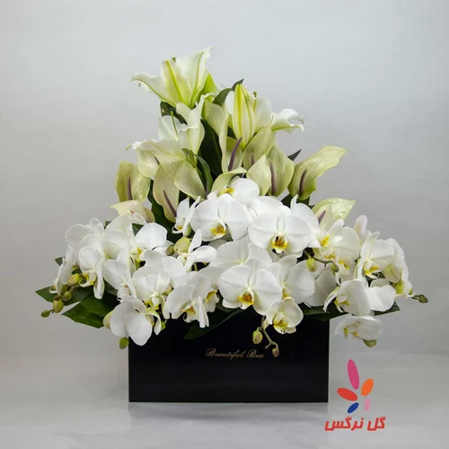 باکس گل ختم ارکیده، آنتوریوم و لیلیوم