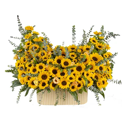 باکس گل جهان‌تاب