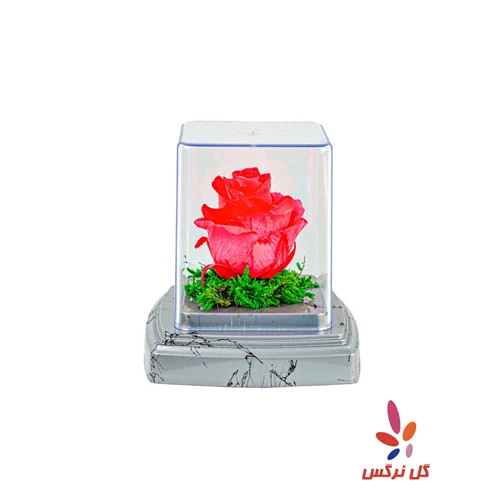 گل رز جاودان قرمز
