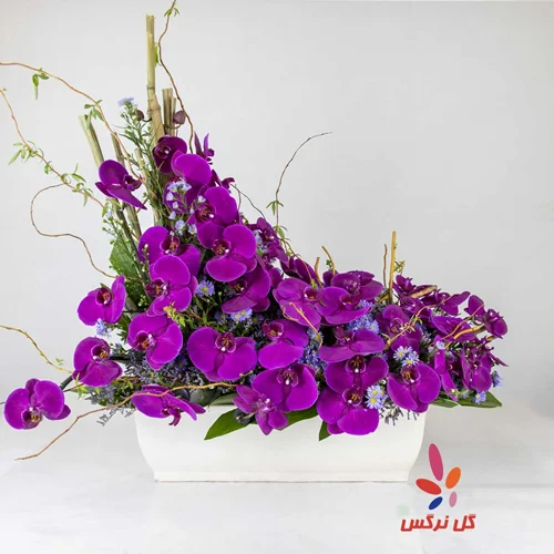 گلدان سرامیکی ارکیده (شماره 1)