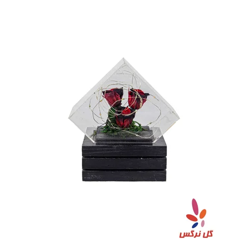 گل رز جاودان قرمز چراغ دار