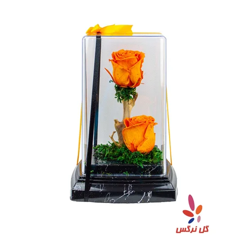 گل رز جاودان نارنجی (دو شاخه)