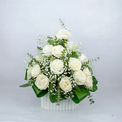 باکس کرکره‌ای رز هلندی سفید