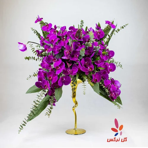 جام ارکیده بنفش