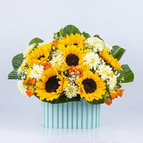 باکس کرکره‌ای آفتاب‌گردان