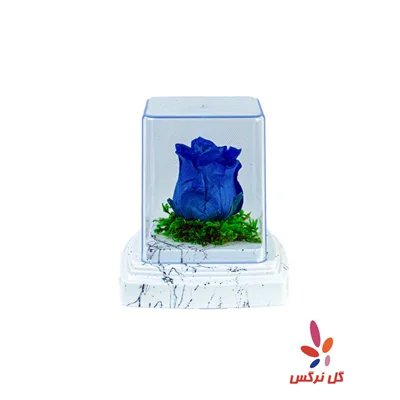 گل رز جاودان آبی