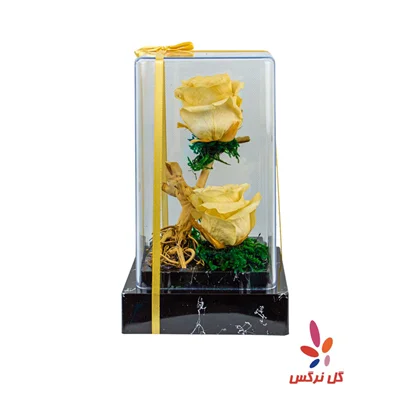 گل رز جاودان زرد (دو شاخه)