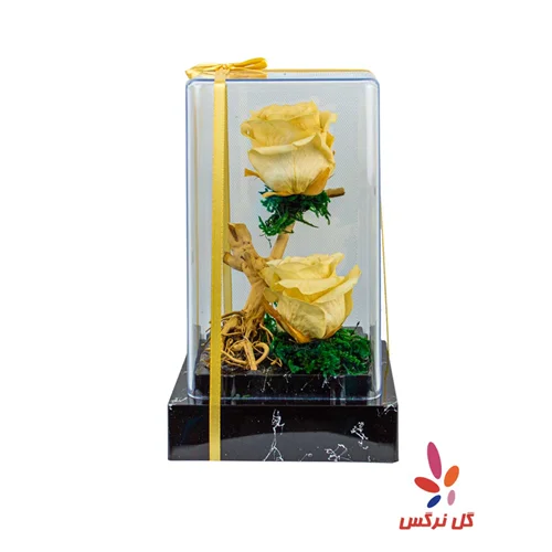 گل رز جاودان زرد (دو شاخه)