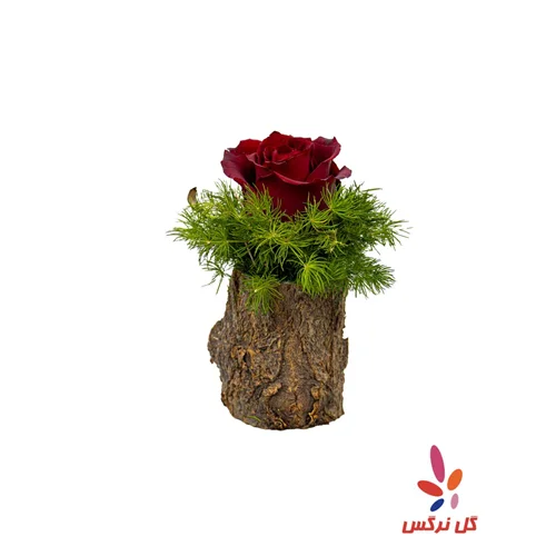 کنده رز قرمز