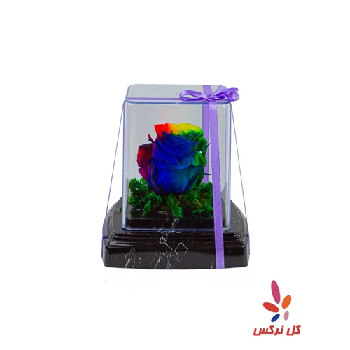 گل رز جاودان رنگارنگ