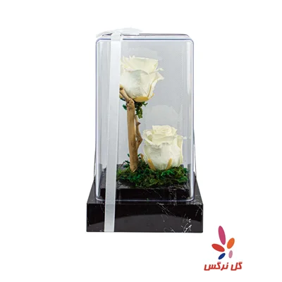 گل رز جاودان سفید (دو شاخه)
