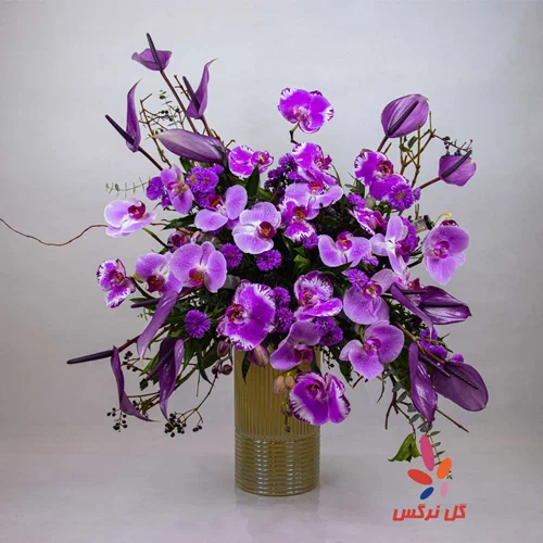 جار گل ارغوان