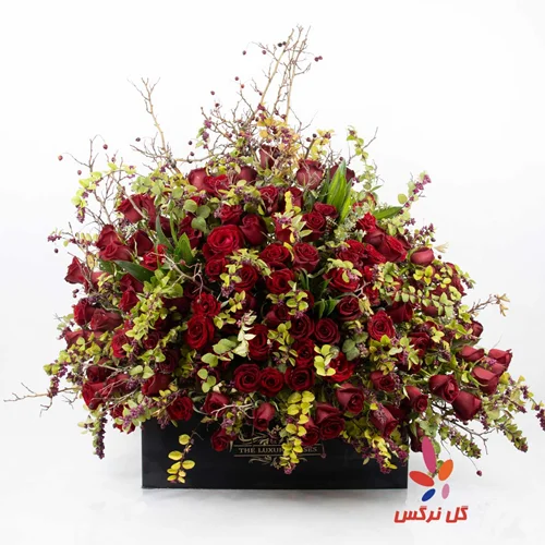 باکس گل رز مینیاتوری قرمز (سایز: بزرگ)