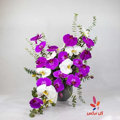 گلدان سفالی ارکیده (شماره 2)